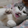 はうっ