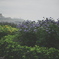 山下公園(6)