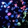 すみだ水族館にて。