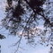 DSCF0246