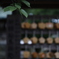 願う　その14
