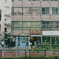 山下公園(7)