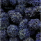 Last blue