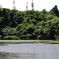沼