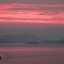 瀬戸内の朝 200719-539