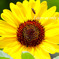 6036EEA5-01B9-4391-B19C-CCC19789DBFD