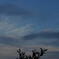 空