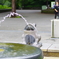 上野のカエル_上野恩賜公園