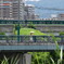 身近な夏景色‥
