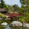 Miyazu Japanese Garden