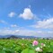 梅雨の晴れ間に…