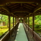 天龍寺・多宝殿順路２