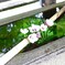 花手水