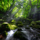 Light