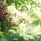 clematis in the uenofarm