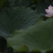 独り　その278
