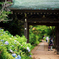 千葉県　本土寺