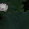 独り　その279