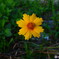DSCN0865
