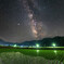 満点星