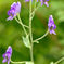 DSCF0177