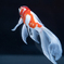  Aquarium 01