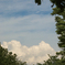 夏の雲