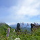 利尻山山頂の植物