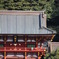 鶴岡八幡宮