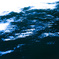 Wave