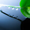 Water Drops