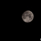 Sturgeon Moon スタージョンムーン