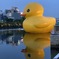 巨大アヒル