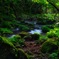 元滝伏流水へ
