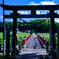 鳥居の先は夏
