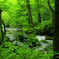 Surrounded by greenery...