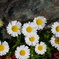 IMGP3041