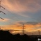 本日の夕景