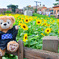 ディズニーシーの夏