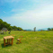 DSC00715