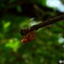 DSCN0897