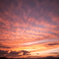 いつかの夕空に
