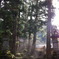 永平寺 秋。