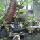 永平寺 秋 2。