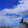 夏空の仙台城址
