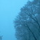 photo_976617