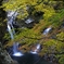 竜ヶ岩の滝　IMG_1060 m
