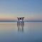 湖上の大鳥居
