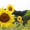 497F37BA-FF05-4EB1-BC7C-E8CF5DB1A9A0