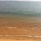 IMG_0410 (1)